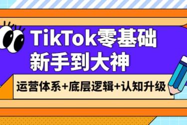 TikTok零基础新手到大神：运营体系 底层逻辑 认知升级（9节系列课）