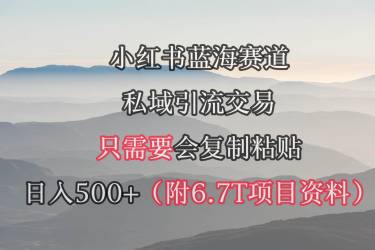 （9487期）小红书短剧赛道，私域引流交易，会复制粘贴，日入500+（附6.7T短剧资源）