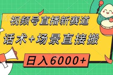 视频号直播新赛道，话术 场景直接搬，日入6000 【揭秘】